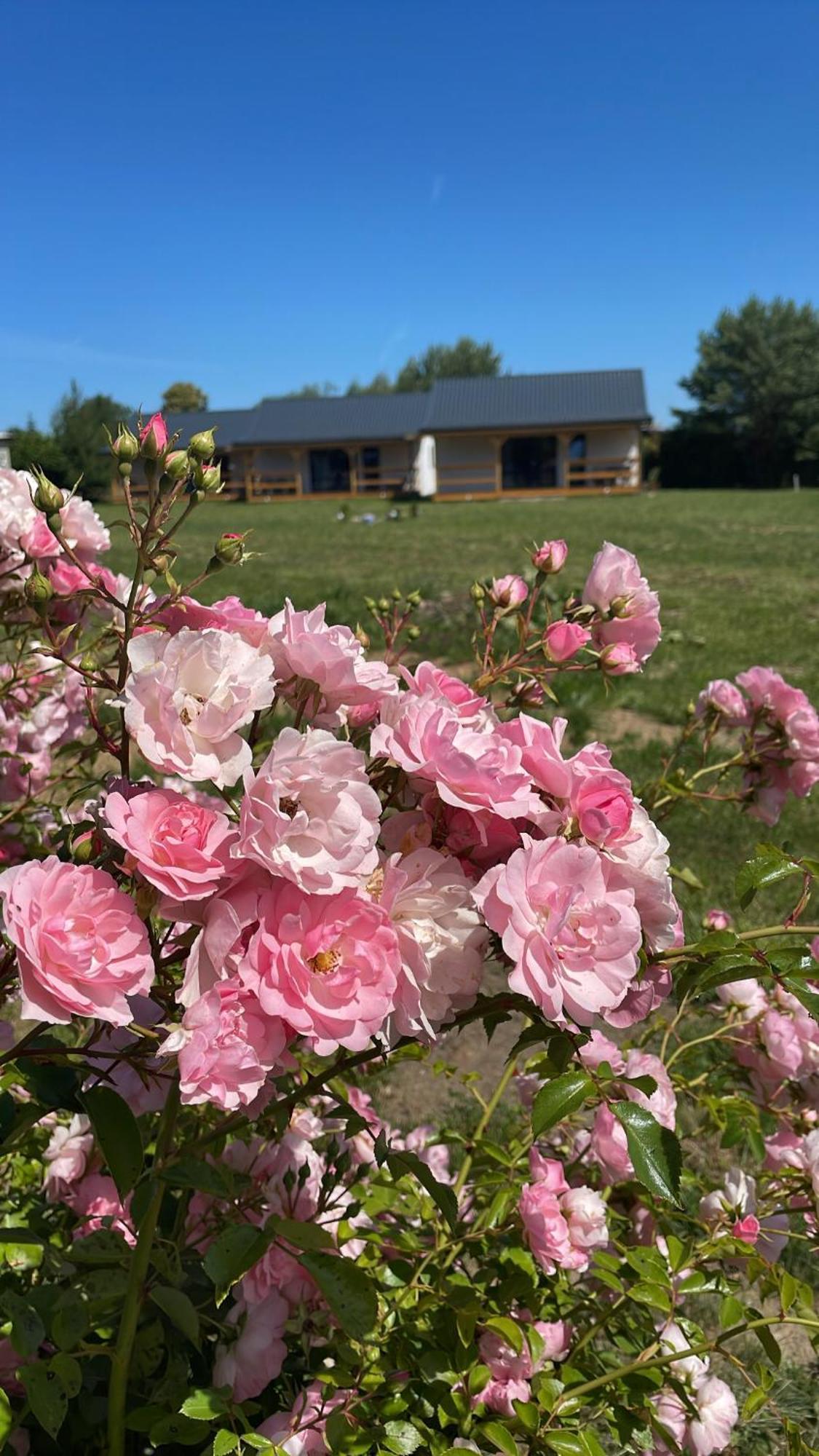 Holiday home Bursztynowy Zakatek Jezierzany